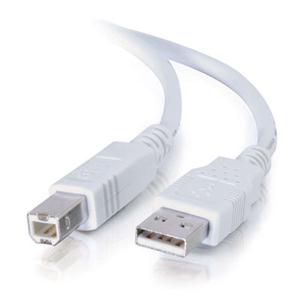 C2g 6' Usb 2.0 a B Cable White