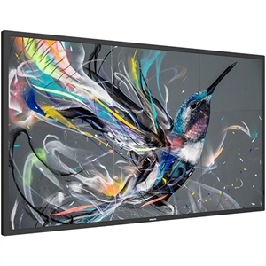 Philips Ppds, Tpv-usa Corp 50" Q Line Prosumer Droid Os