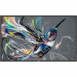 Philips Ppds, Tpv-usa Corp 65" Q Line Prosumer Android