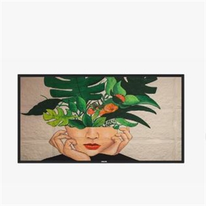 Philips Ppds, Tpv-usa Corp 43" Non Android Taa 24 7