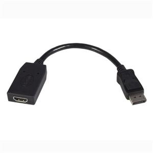 Startech.com Displayport Video Converter
