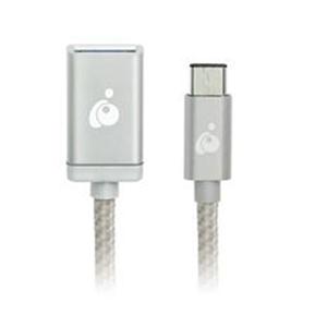 Iogear Usb C to Usb a Adapter Sil