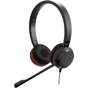 Jabra Evolve 20 Se Gsa Leatherettes