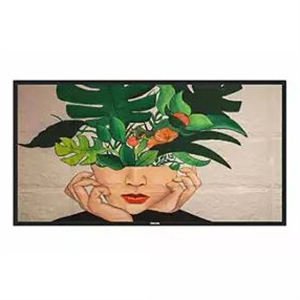 Philips Ppds, Tpv-usa Corp 55" Taa Comm Non Android